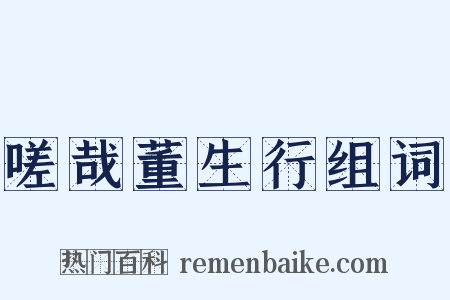 嗟哉董生行组词是什么意思的图片